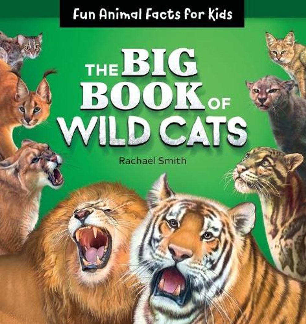 The Big Book of Wild Cats by Rachael Smith - ISBN: 9781646110605
