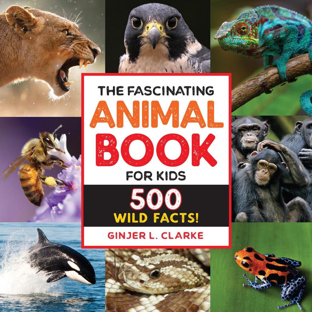 The Fascinating Animal Book for Kids by Ginjer Clarke - ISBN: 9781646111497