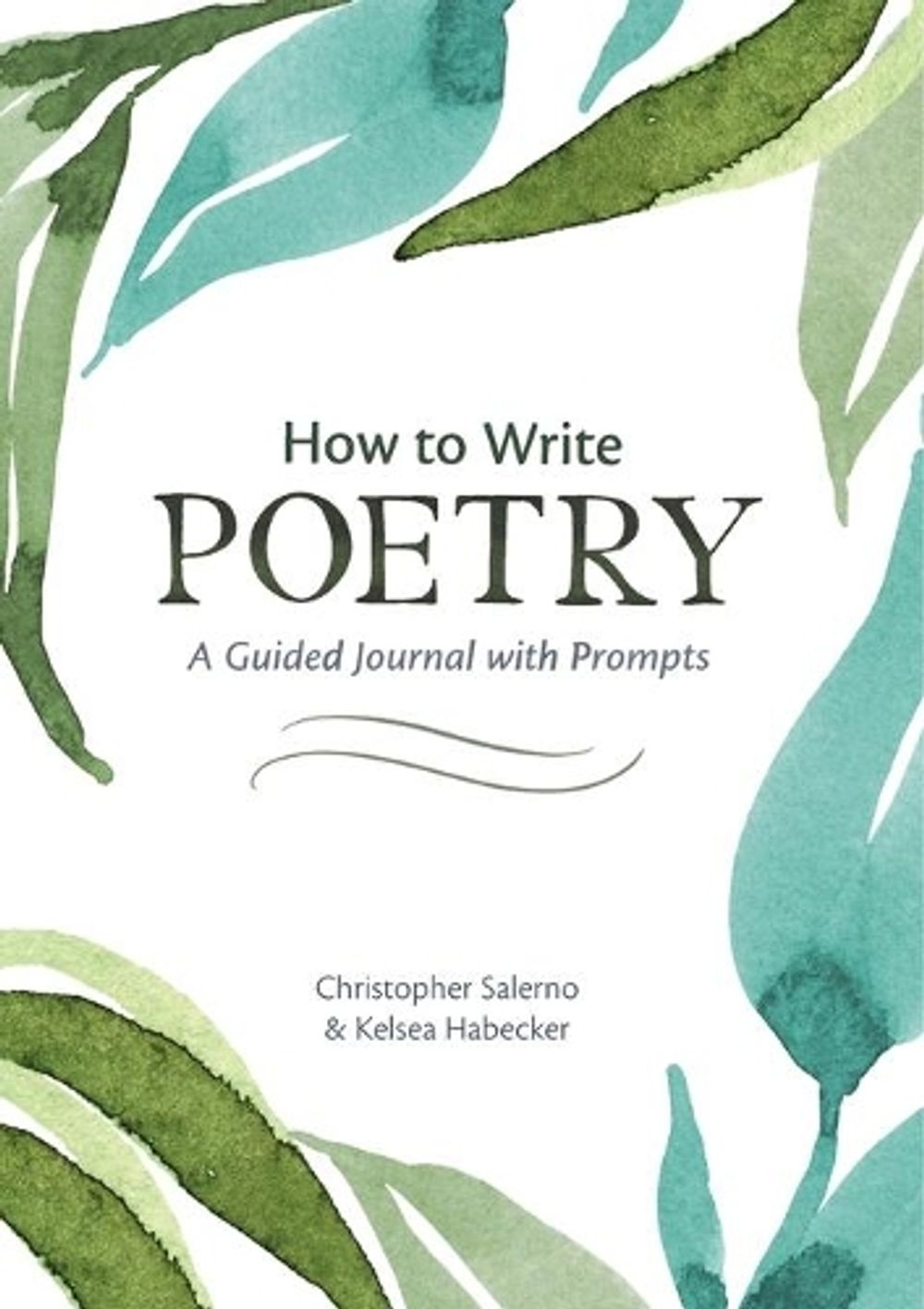 How to Write Poetry by Christopher Salerno - ISBN: 9781646117970