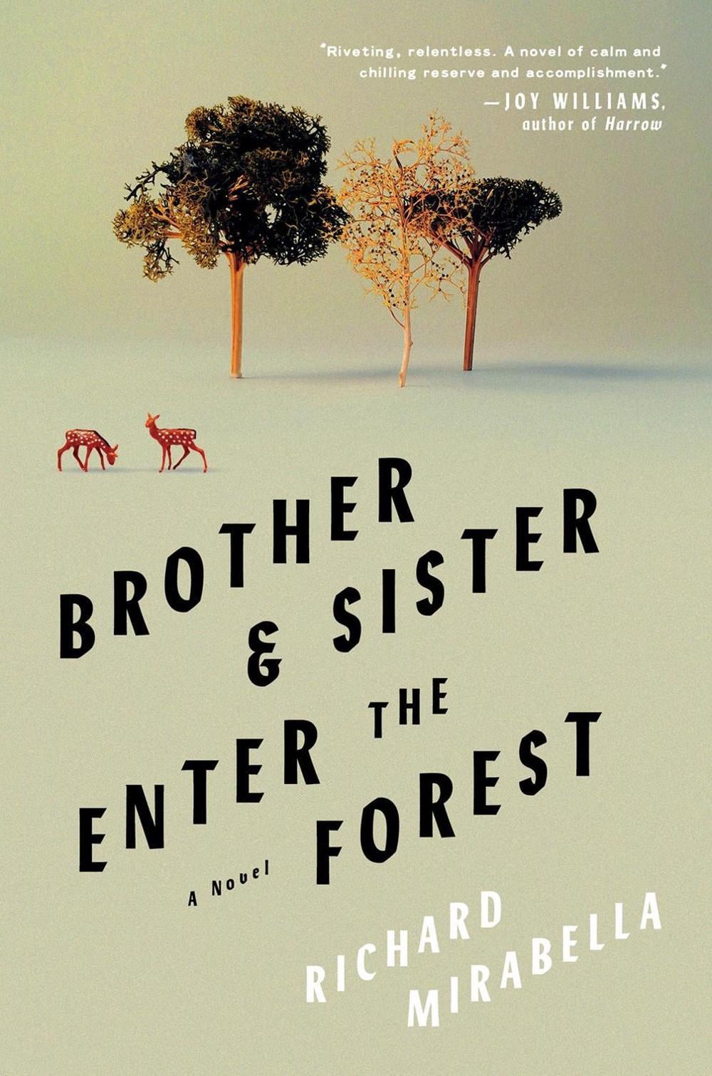 Brother & Sister Enter the Forest by Richard Mirabella - ISBN: 9781646222179