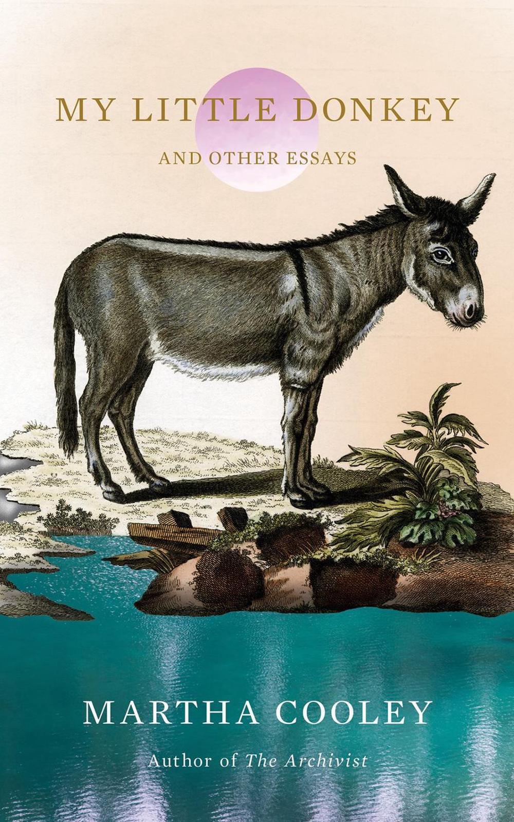 My Little Donkey by Martha Cooley - ISBN: 9781646223022
