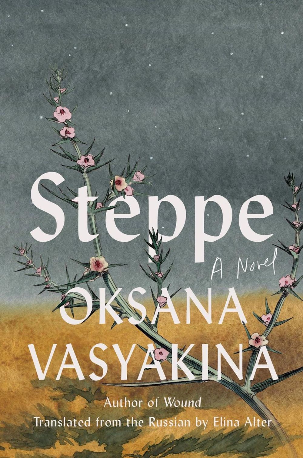 Steppe by Oksana Vasyakina - ISBN: 9781646223077