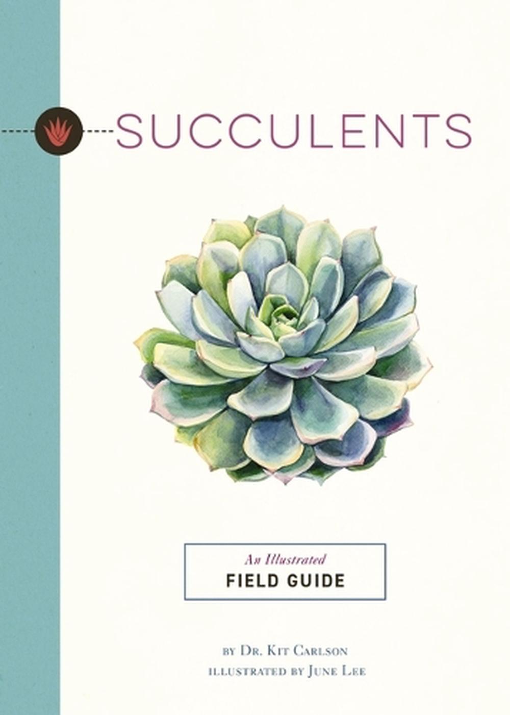 Succulents, 9781646434534