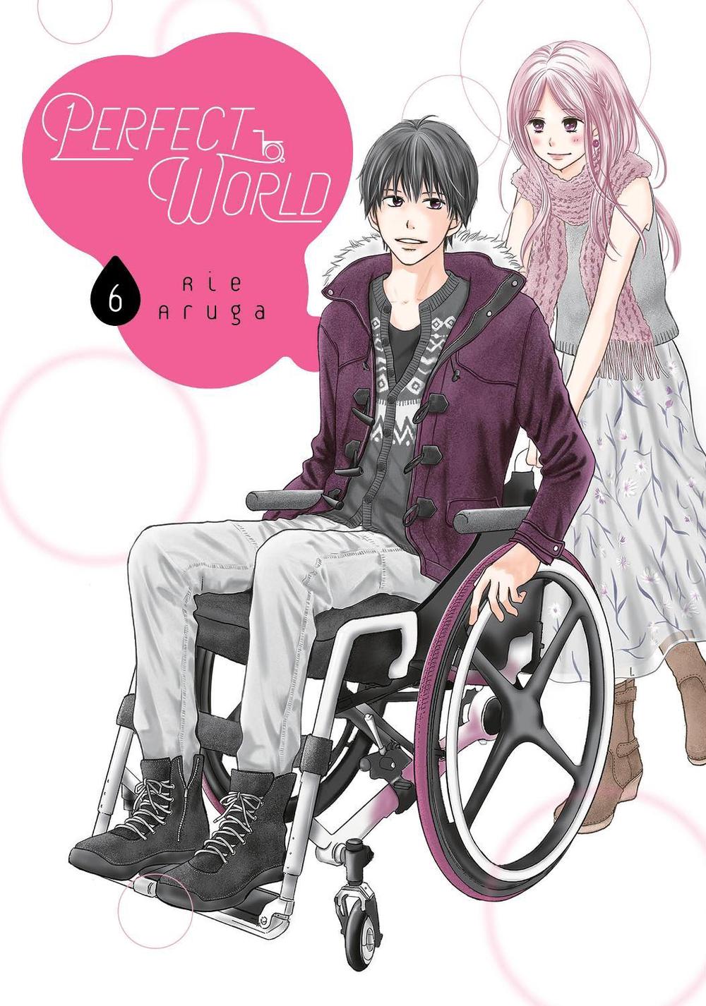 Perfect World 6 by Rie Aruga - ISBN: 9781646511068