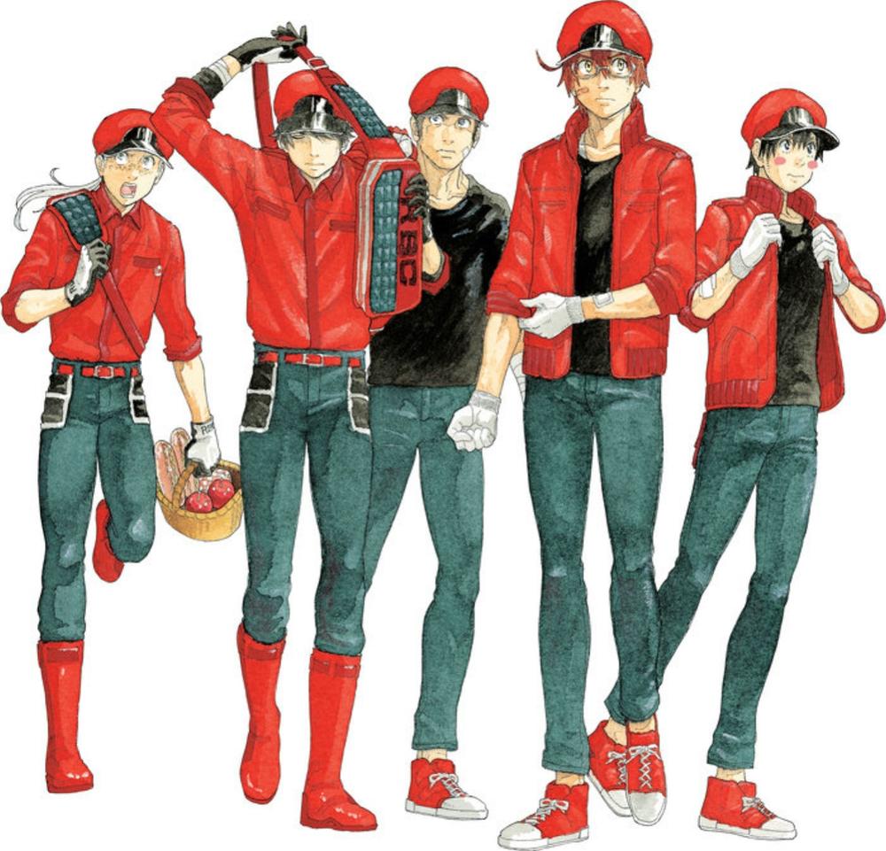 Cells at Work! CODE BLACK 6 by Shigemitsu Harada - ISBN: 9781646511495