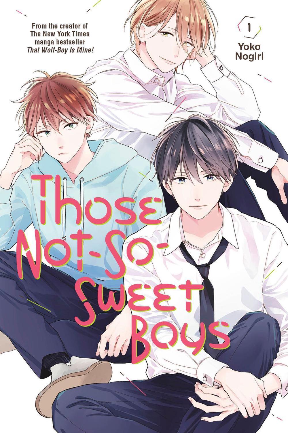 Those Not-So-Sweet Boys 1, 9781646511747