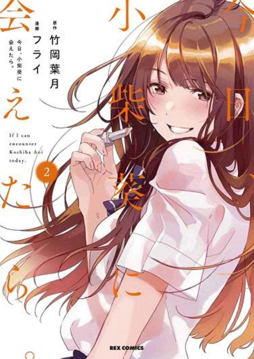 Chasing After Aoi Koshiba 2, 9781646511884