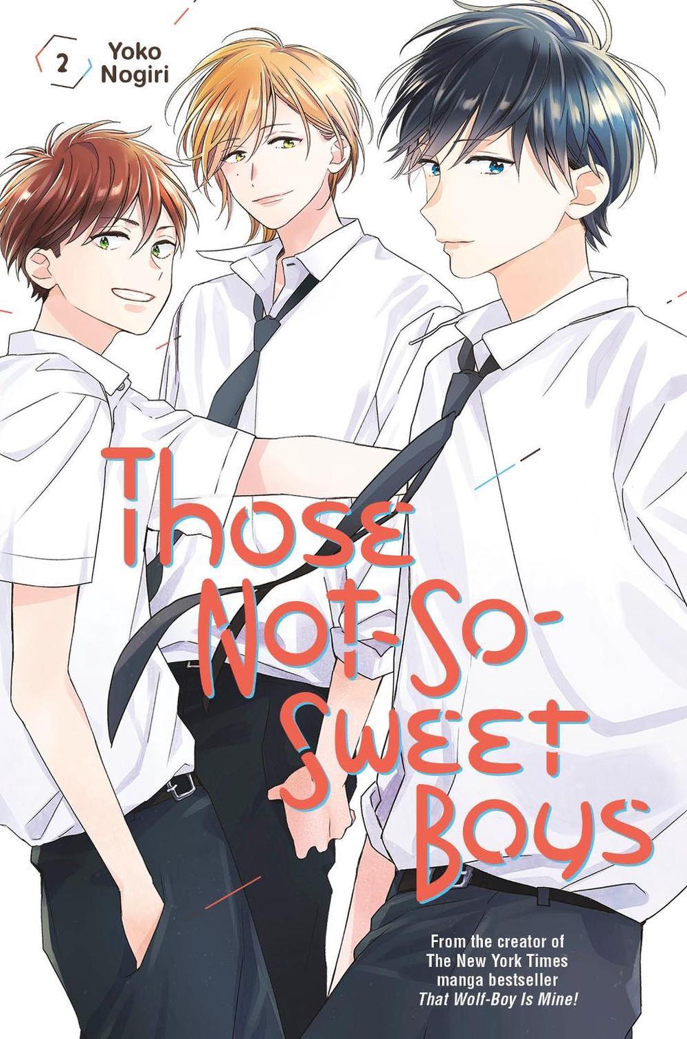 Those Not-So-Sweet Boys 2, 9781646511976