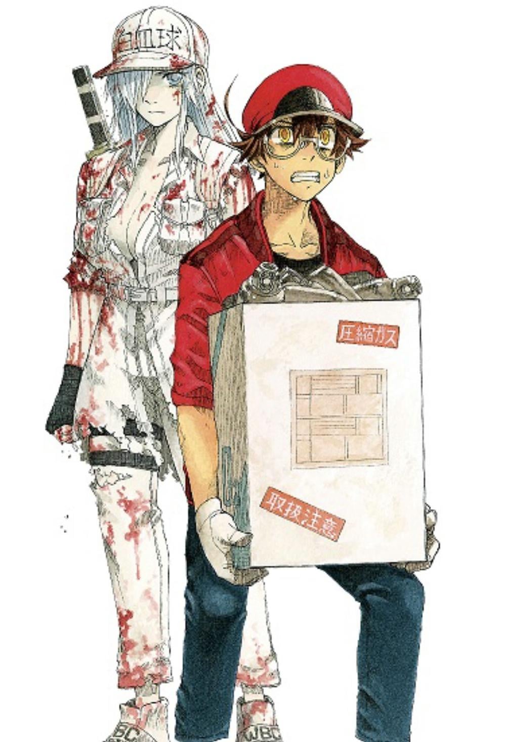 Cells at Work! CODE BLACK 8 by Shigemitsu Harada - ISBN: 9781646512201