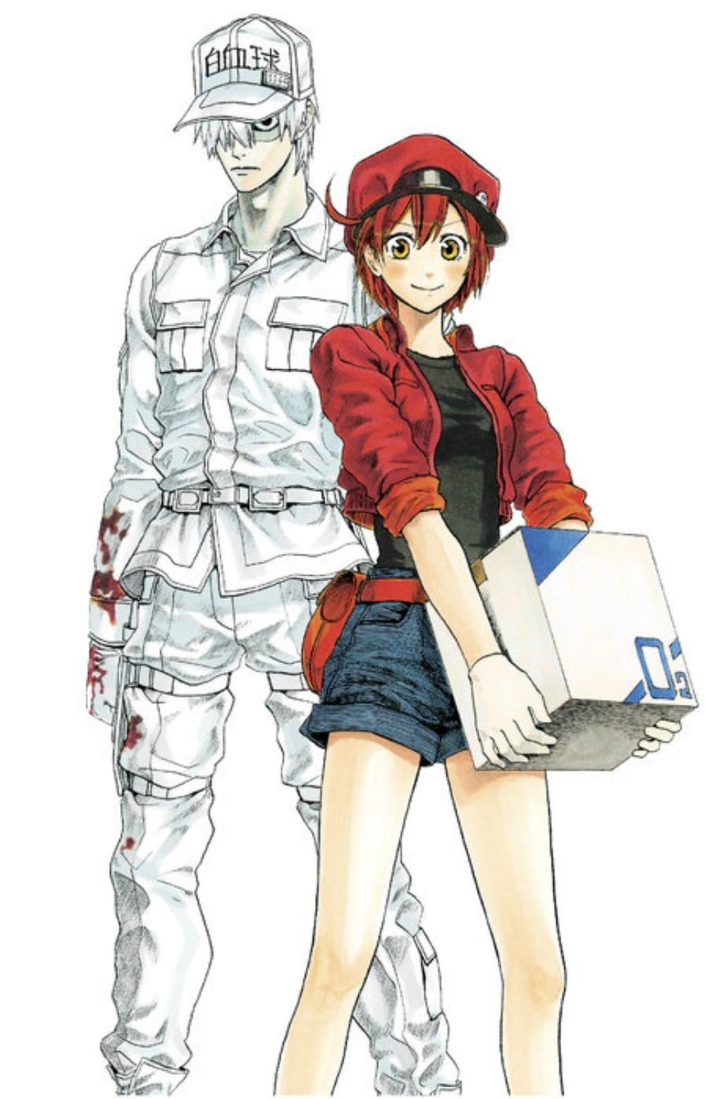 Cells at Work! Complete Manga Box Set! by Akane Shimizu - ISBN: 9781646512522