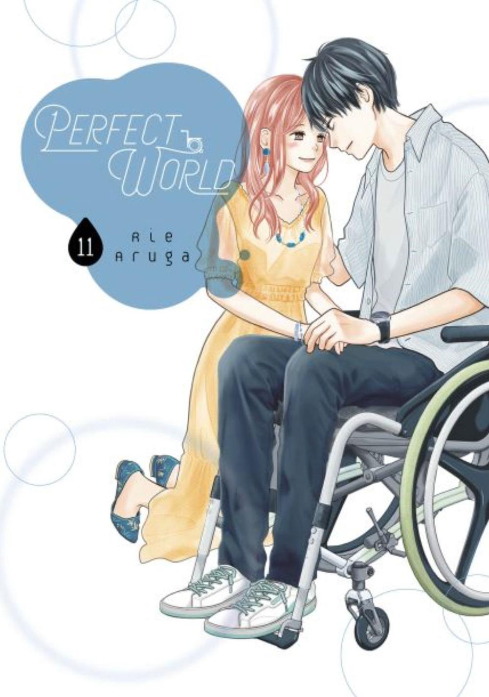 Perfect World 11 by Rie Aruga - ISBN: 9781646512980