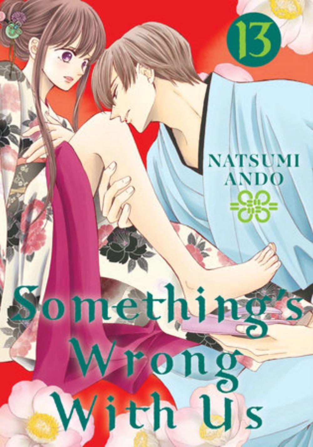 Something's Wrong With Us 13 by Natsumi Ando - ISBN: 9781646514144