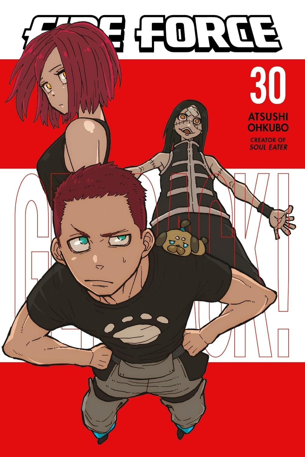 Fire Force 30 by Atsushi Ohkubo - ISBN: 9781646515226