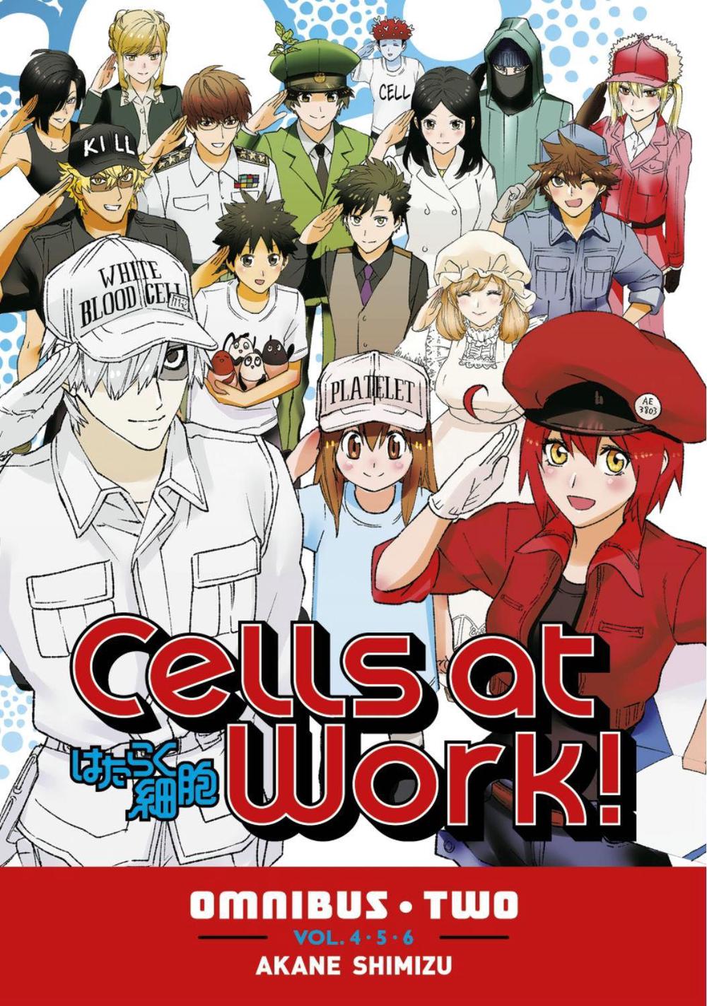 Cells at Work! Omnibus 2 (Vols. 4-6) by Akane Shimizu - ISBN: 9781646519224