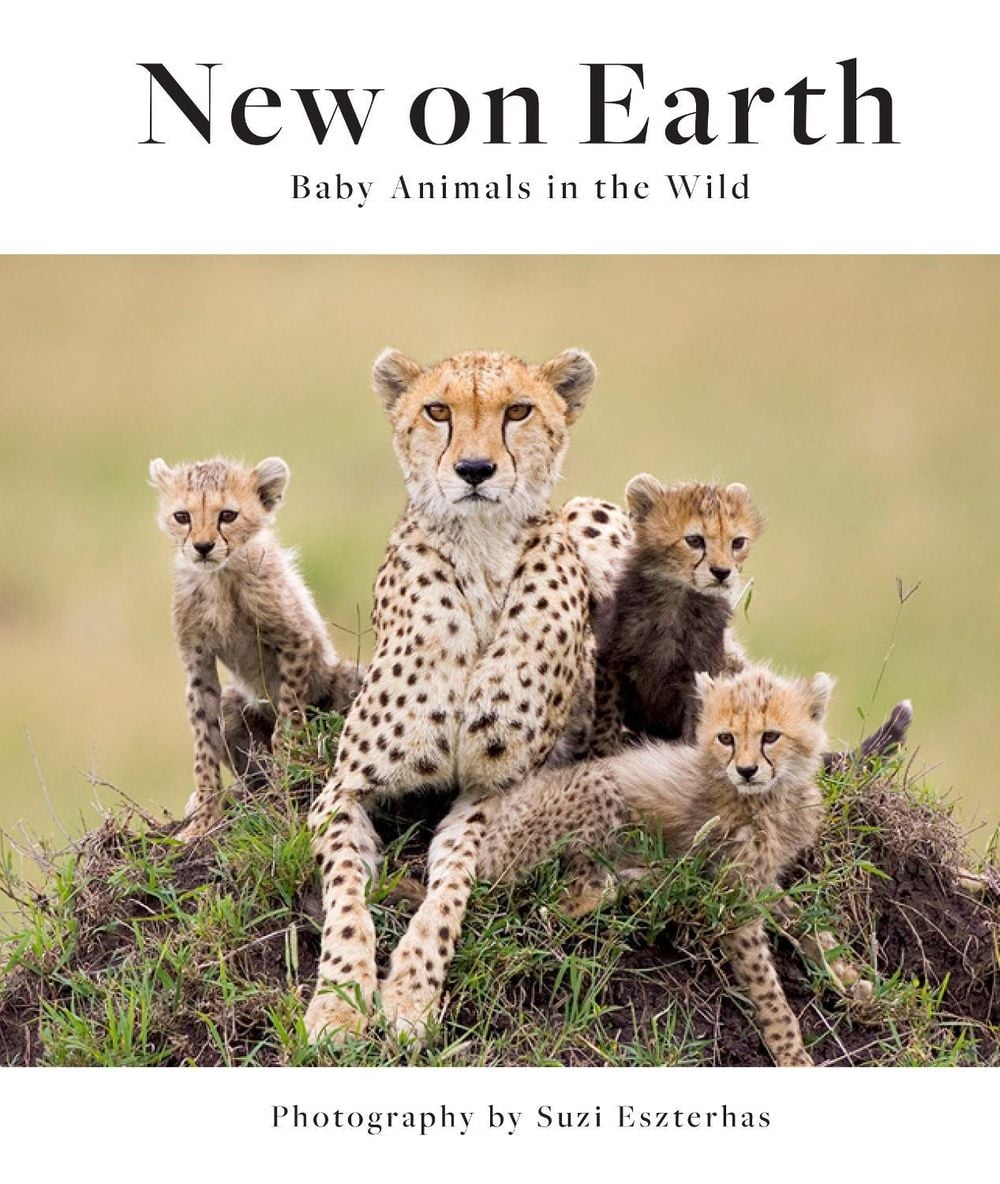 New on Earth by Suzi Eszerhas - ISBN: 9781647221423