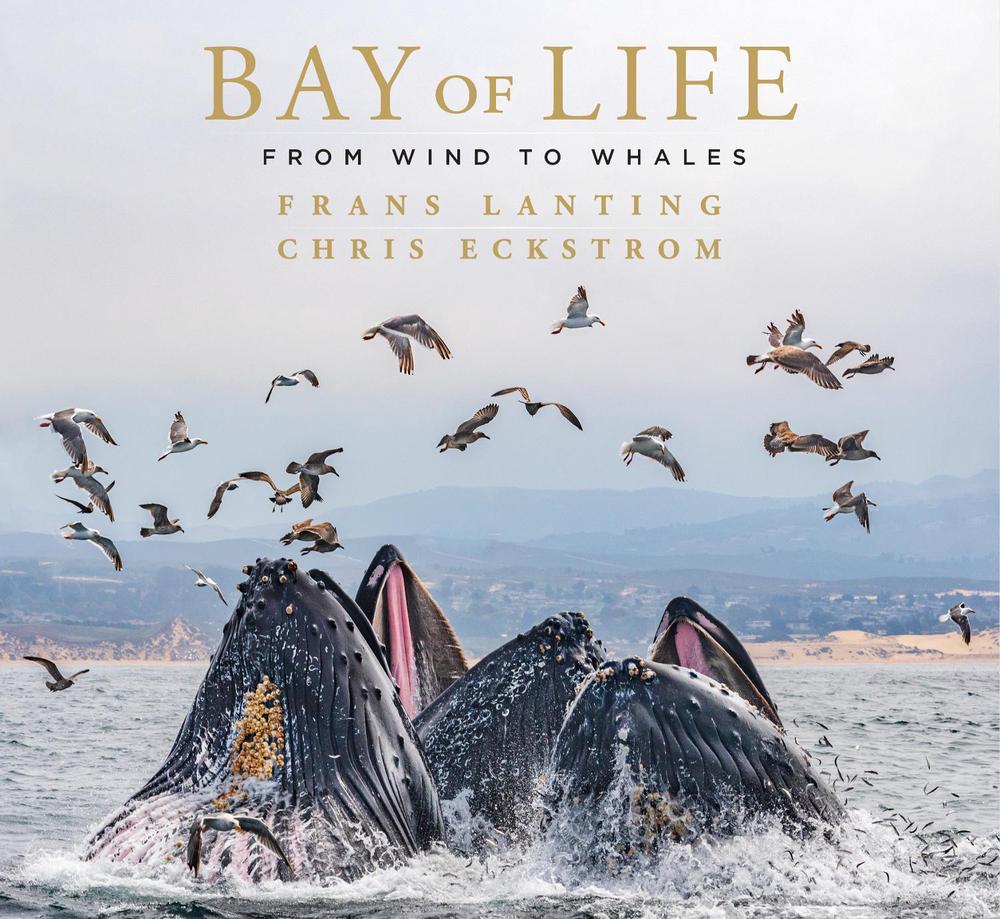Bay of Life by Frans Lanting - ISBN: 9781647221430