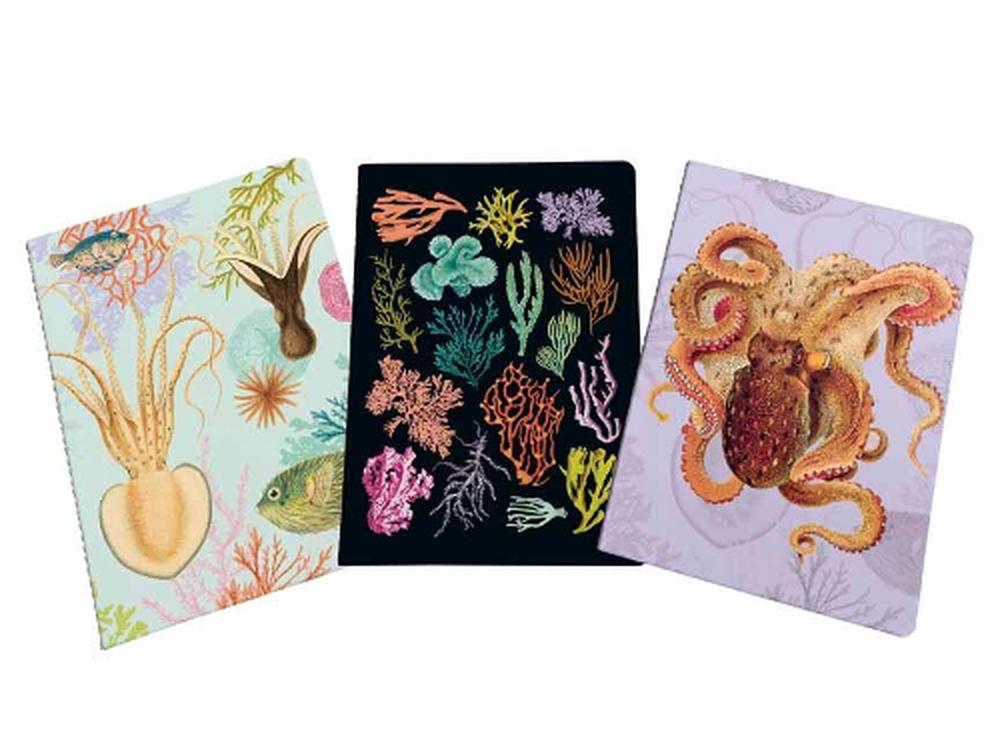 Art of Nature: Under the Sea Sewn Notebook Collection (Set of 3) - ISBN: 9781647223847