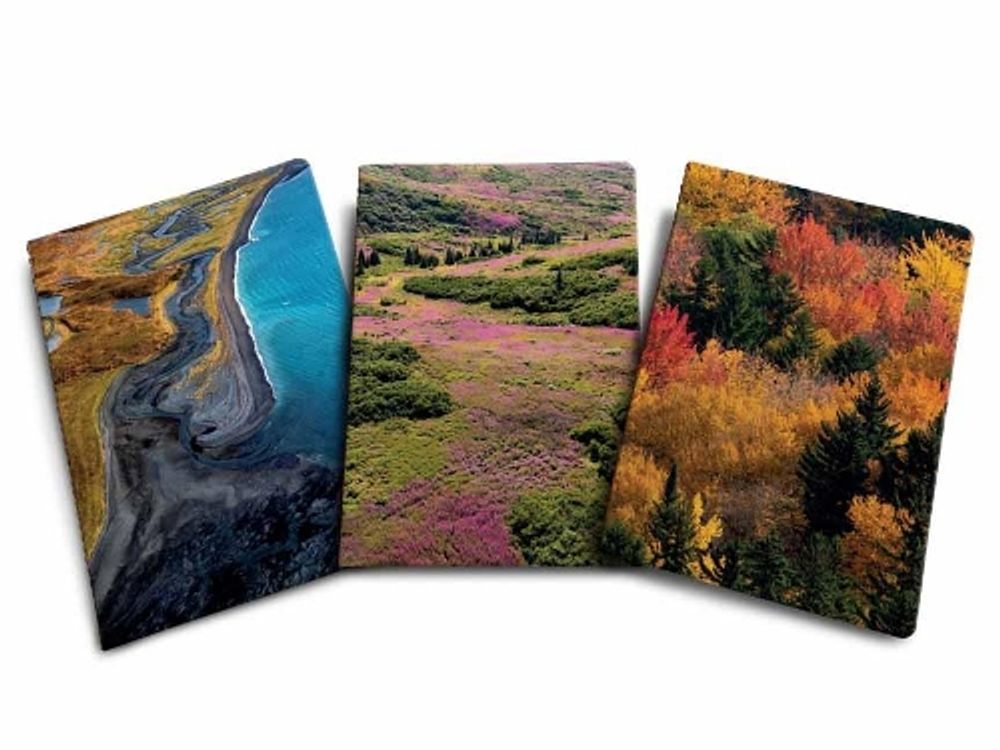 Refuge Sewn Notebook Collection (Set of 3) by Insights - ISBN: 9781647223991