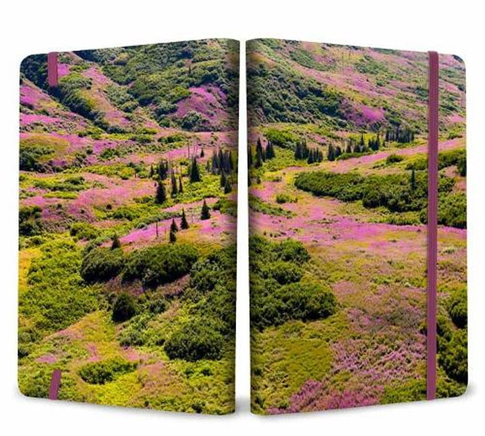 Refuge: Purple Fireweed Softcover Notebook by Insights - ISBN: 9781647224004