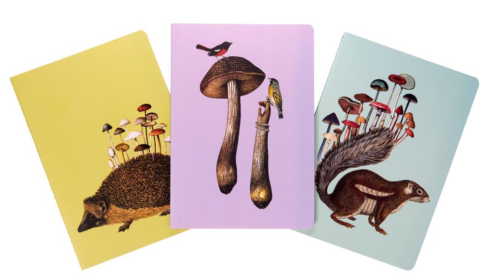 Insight Editions Fantastic Fungi Sewn Notebook Collection (Set Of 3): (Gifts for Mushroom Enthusiasts and Nature Lovers, Nature Journal, Journals for Hikers) by Insight Editions - ISBN: 9781647224059