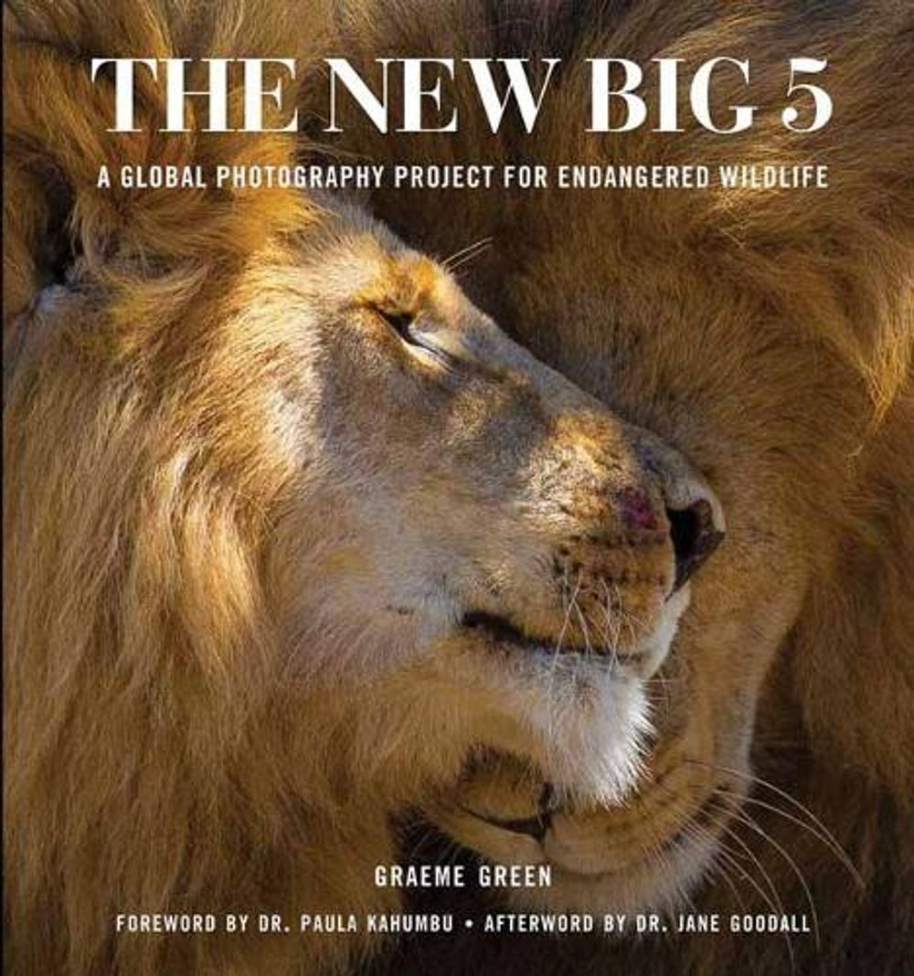 The New Big Five by Graeme Green - ISBN: 9781647228705