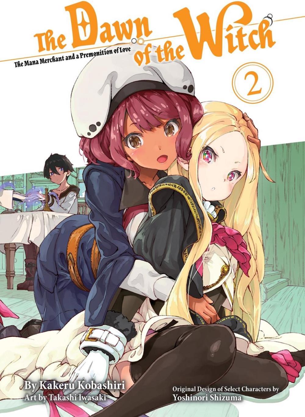The Dawn of the Witch 2 (light novel) by Kakeru Kobashiri - ISBN: 9781647291860