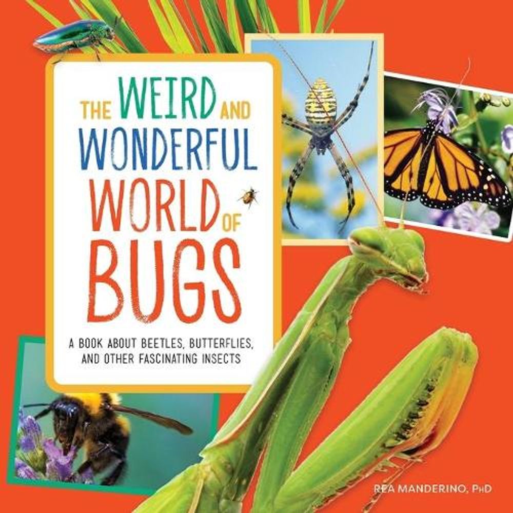 The Weird and Wonderful World of Bugs by Rea Manderino PhD - ISBN: 9781647397326