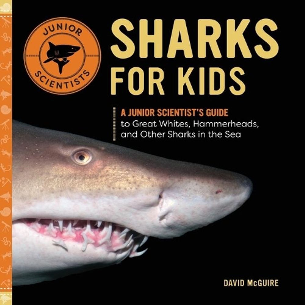 Sharks for Kids by David McGuire - ISBN: 9781647397579