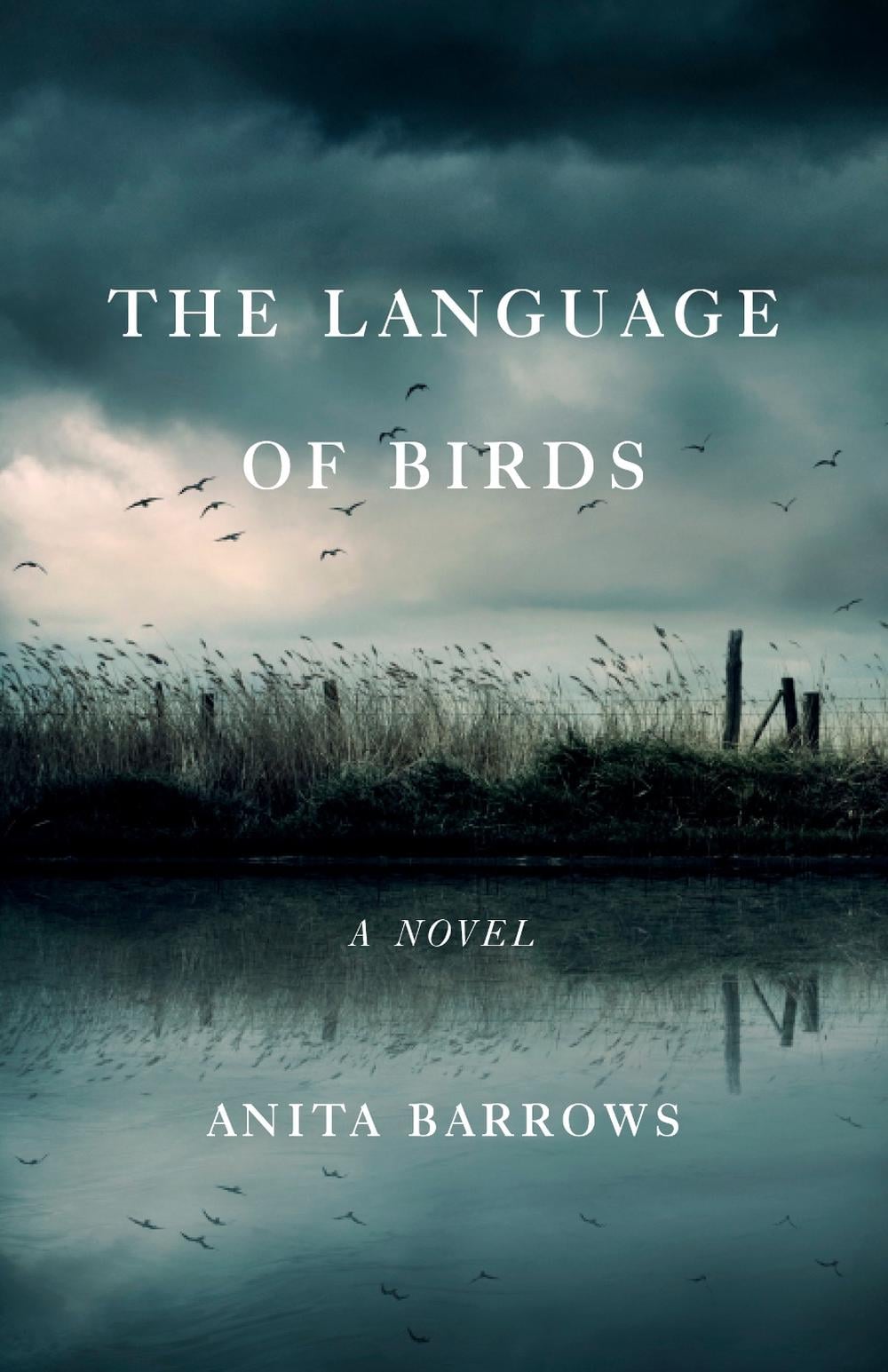 The Language of Birds by Anita Barrows - ISBN: 9781647423575