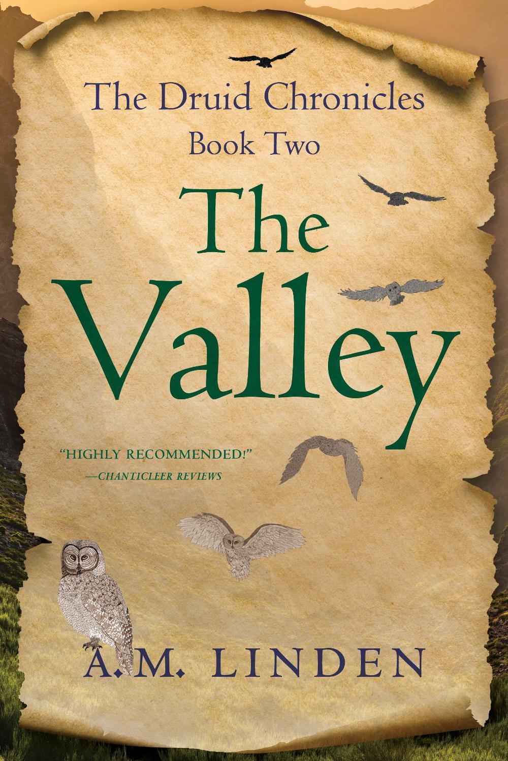 The Valley by A.M. Linden - ISBN: 9781647424091