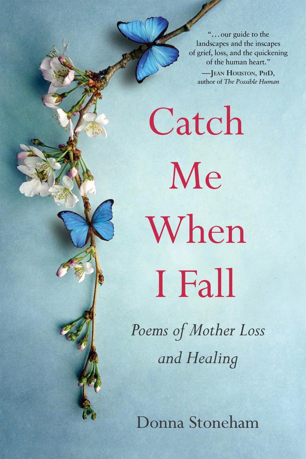 Catch Me When I Fall by Donna Stoneham - ISBN: 9781647424282