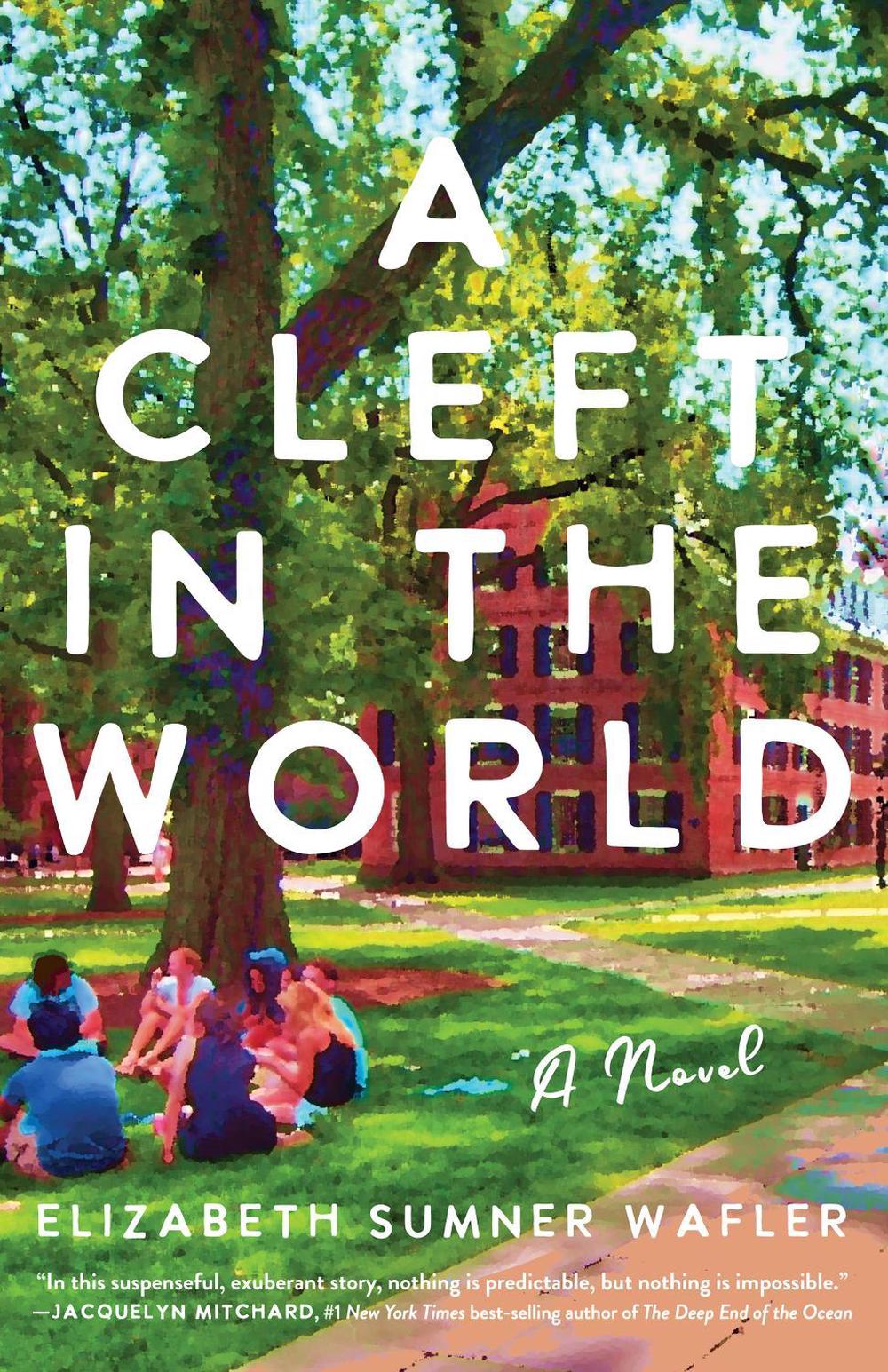 A Cleft in the World by Elizabeth Sumner Wafler - ISBN: 9781647424527