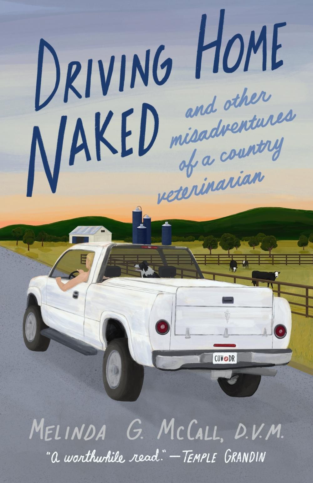 Driving Home Naked by Melinda G. McCall - ISBN: 9781647425173