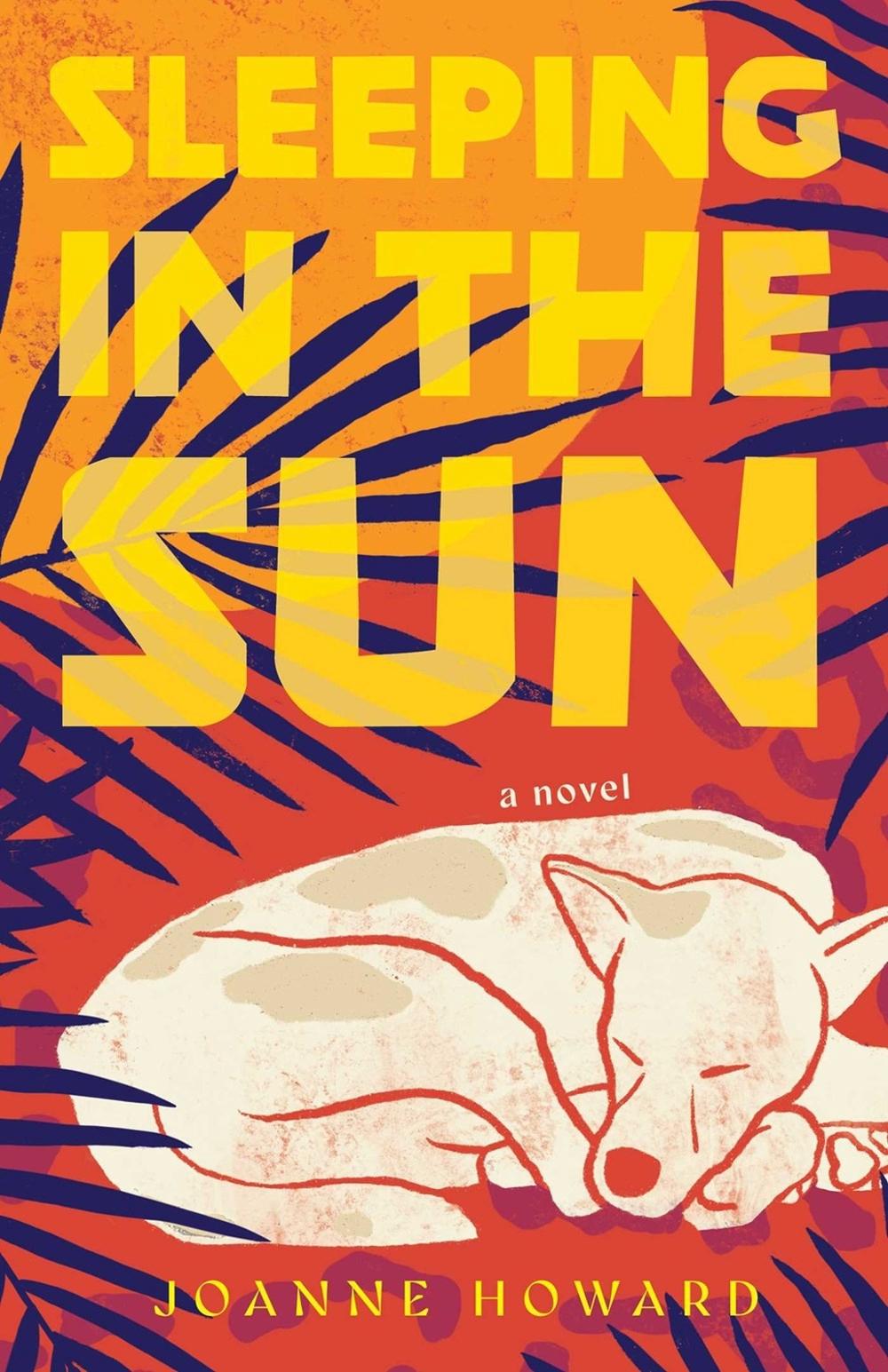 Sleeping in the Sun by Joanne Howard - ISBN: 9781647427986