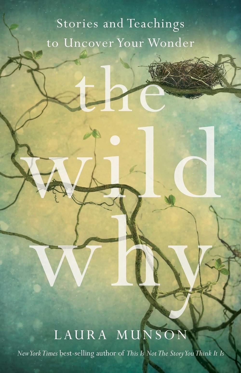 The Wild Why by Laura Munson - ISBN: 9781647428389