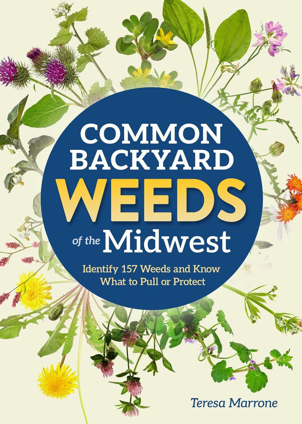 Common Backyard Weeds of the Midwest by Teresa Marrone - ISBN: 9781647555757