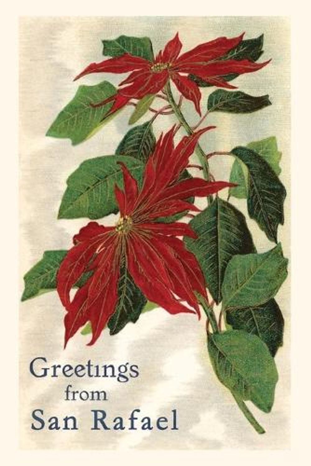 Vintage Journal Greetings from San Rafael, California by Found Image Press - ISBN: 9781648117275