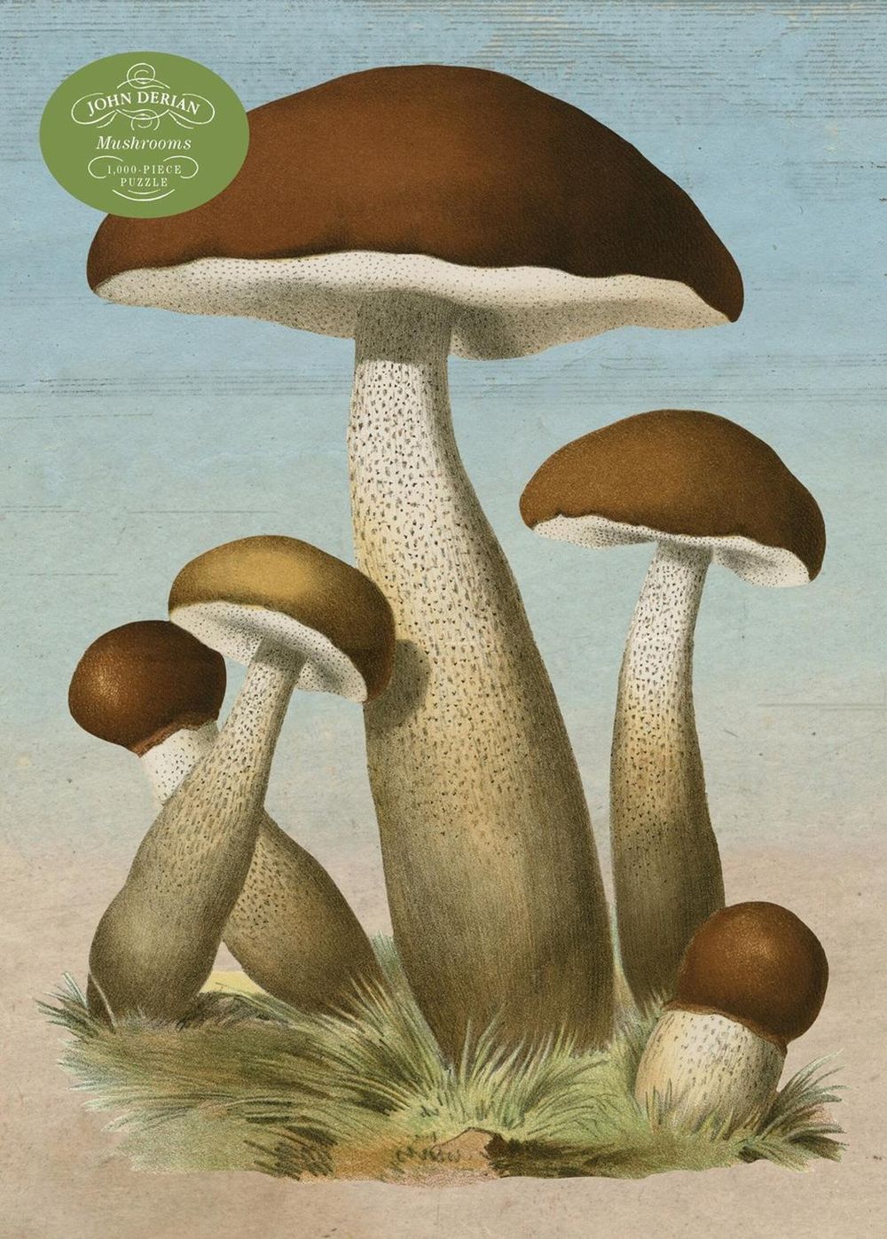 John Derian Paper Goods: Mushrooms 1,000-Piece Puzzle by John Derian - ISBN: 9781648295058