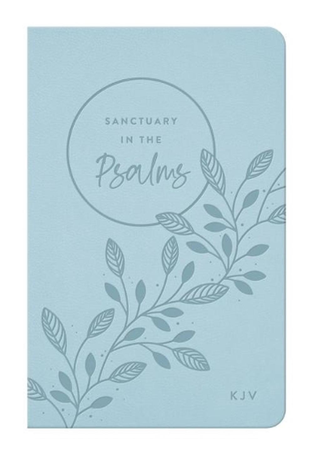 Sanctuary in the Psalms: KJV Promise Book, Imitation Leather, Blue, 9781648704178