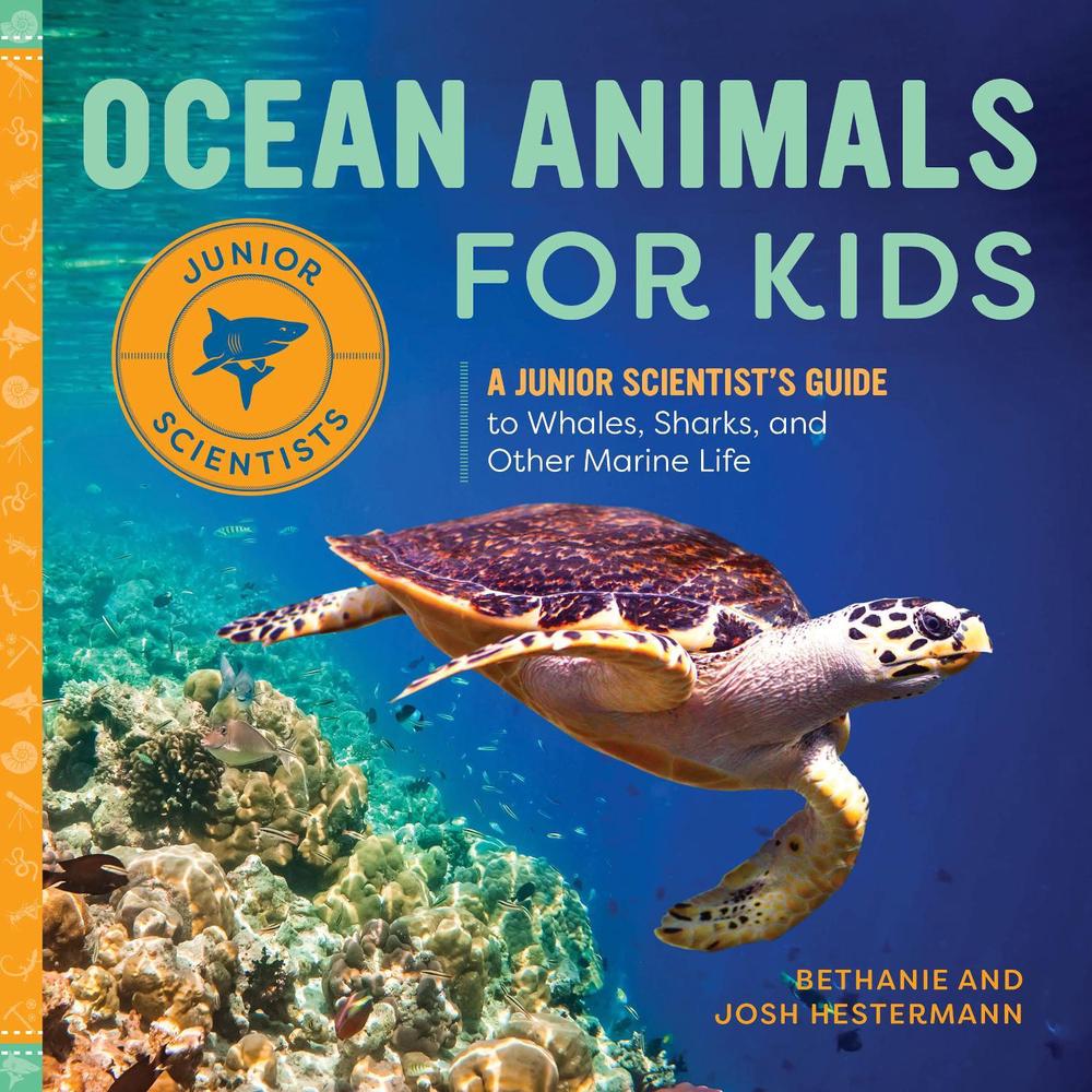 Ocean Animals for Kids, 9781648760563