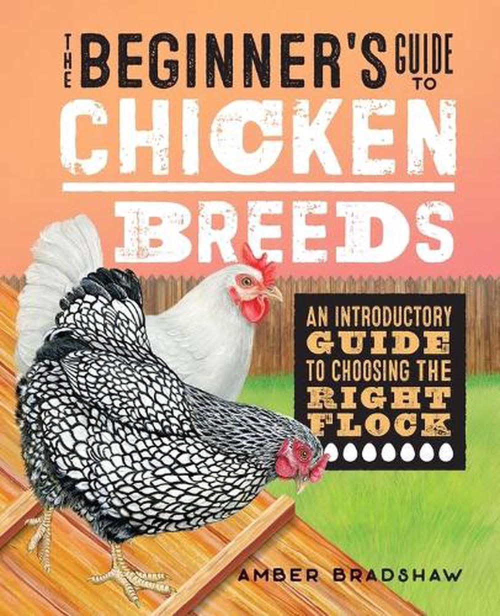 The Beginner's Guide to Chicken Breeds, 9781648766756