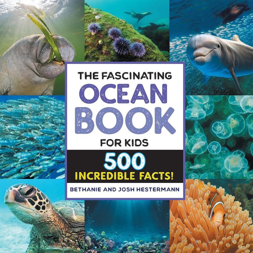 The Fascinating Ocean Book for Kids by Bethanie Hestermann - ISBN: 9781648768842