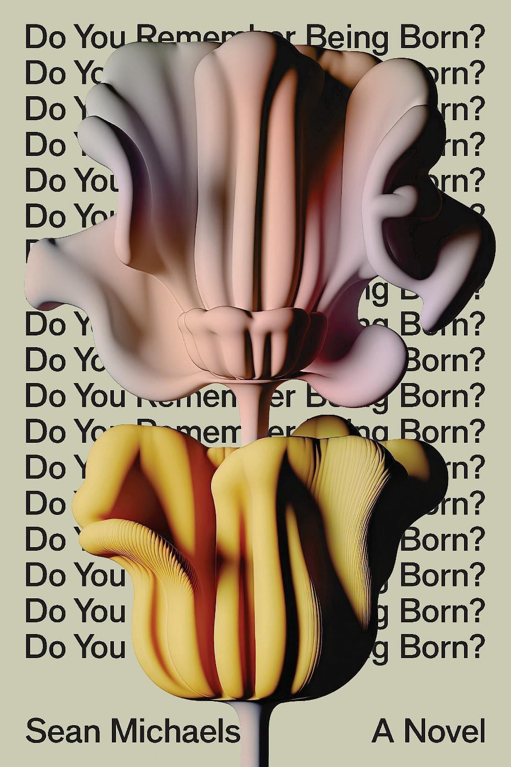 Do You Remember Being Born? by Sean Michaels - ISBN: 9781662602320