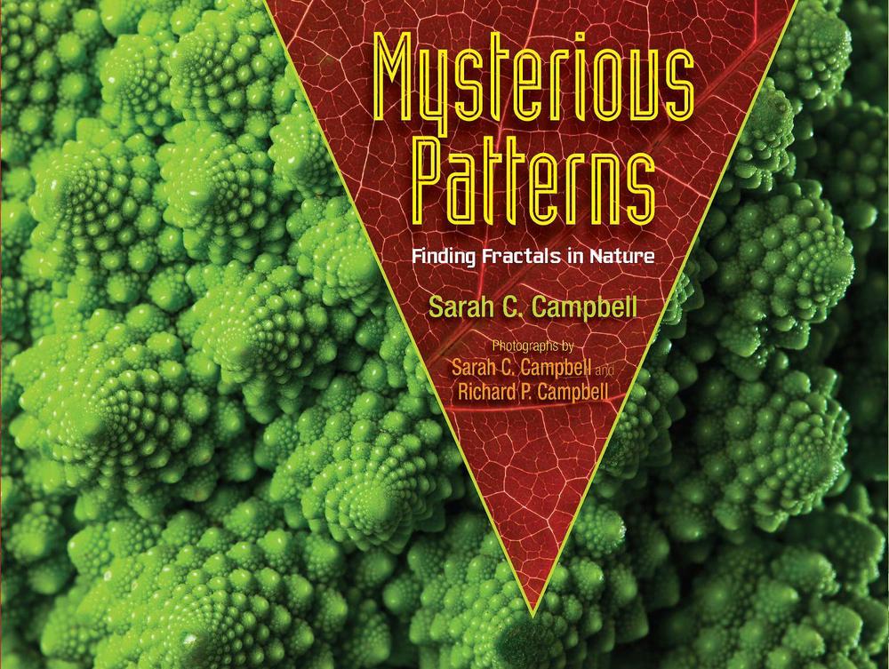 Mysterious Patterns by Sarah C. Campbell - ISBN: 9781662620416