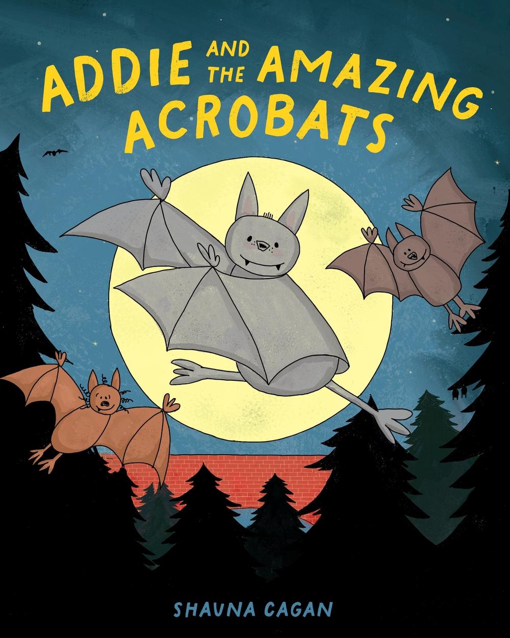 Addie and the Amazing Acrobats by Shauna Cagan - ISBN: 9781662640469