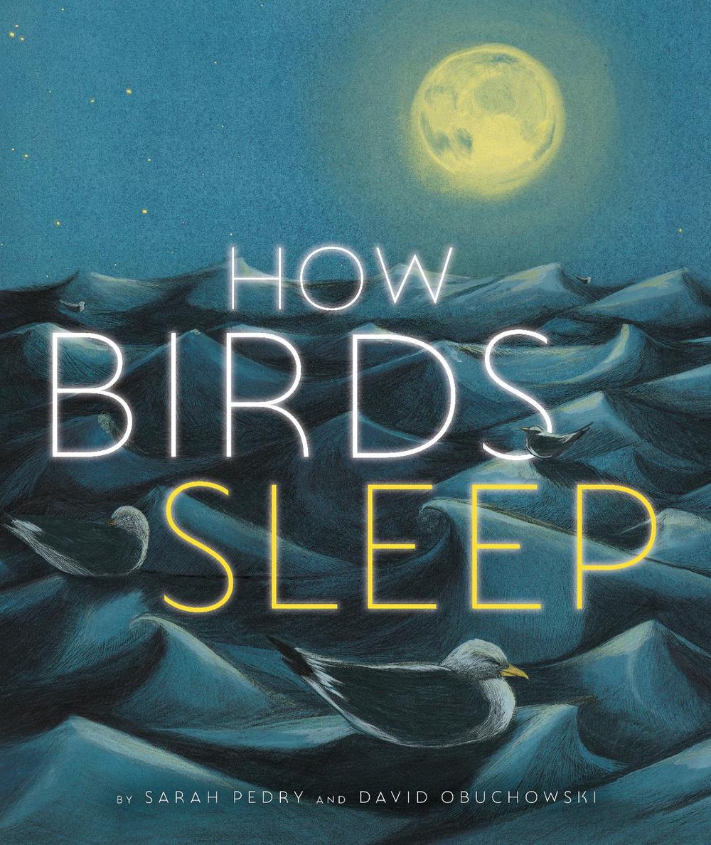 How Birds Sleep by David Obuchowski - ISBN: 9781662650970