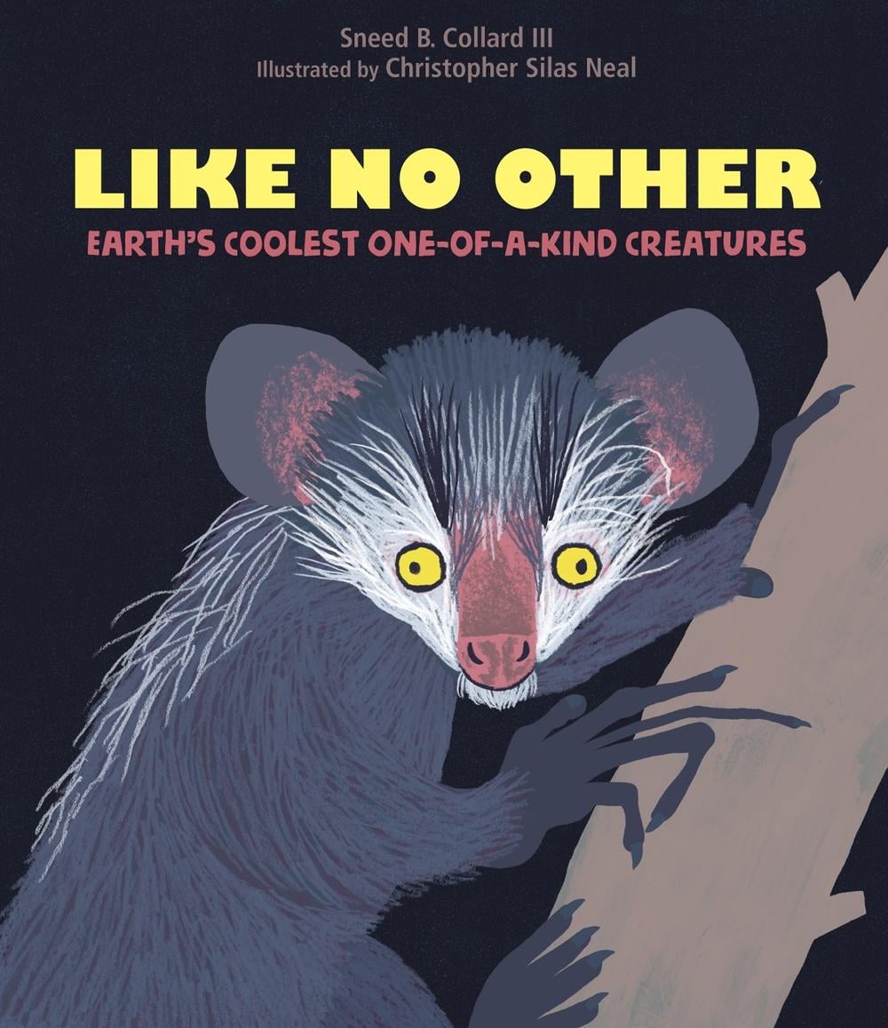 Like No Other by Sneed B. Collard, III - ISBN: 9781662670077