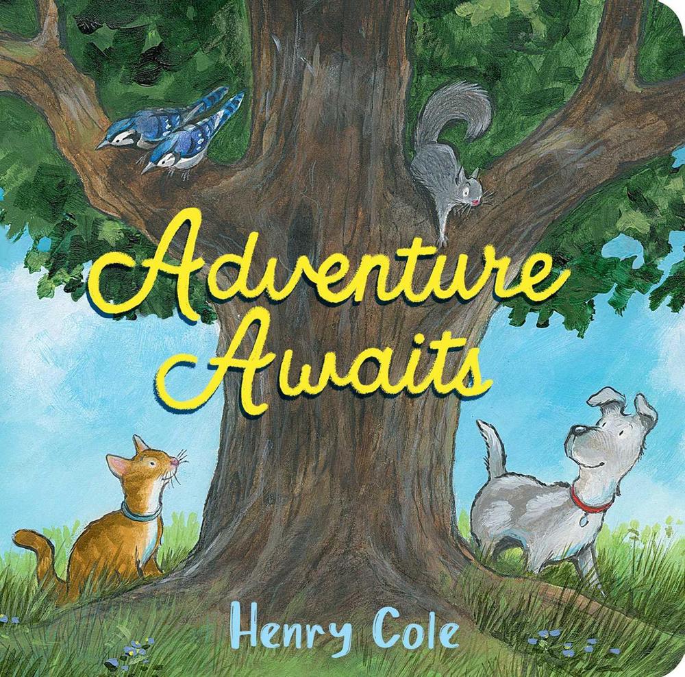 Adventure Awaits by Henry Cole - ISBN: 9781665902908