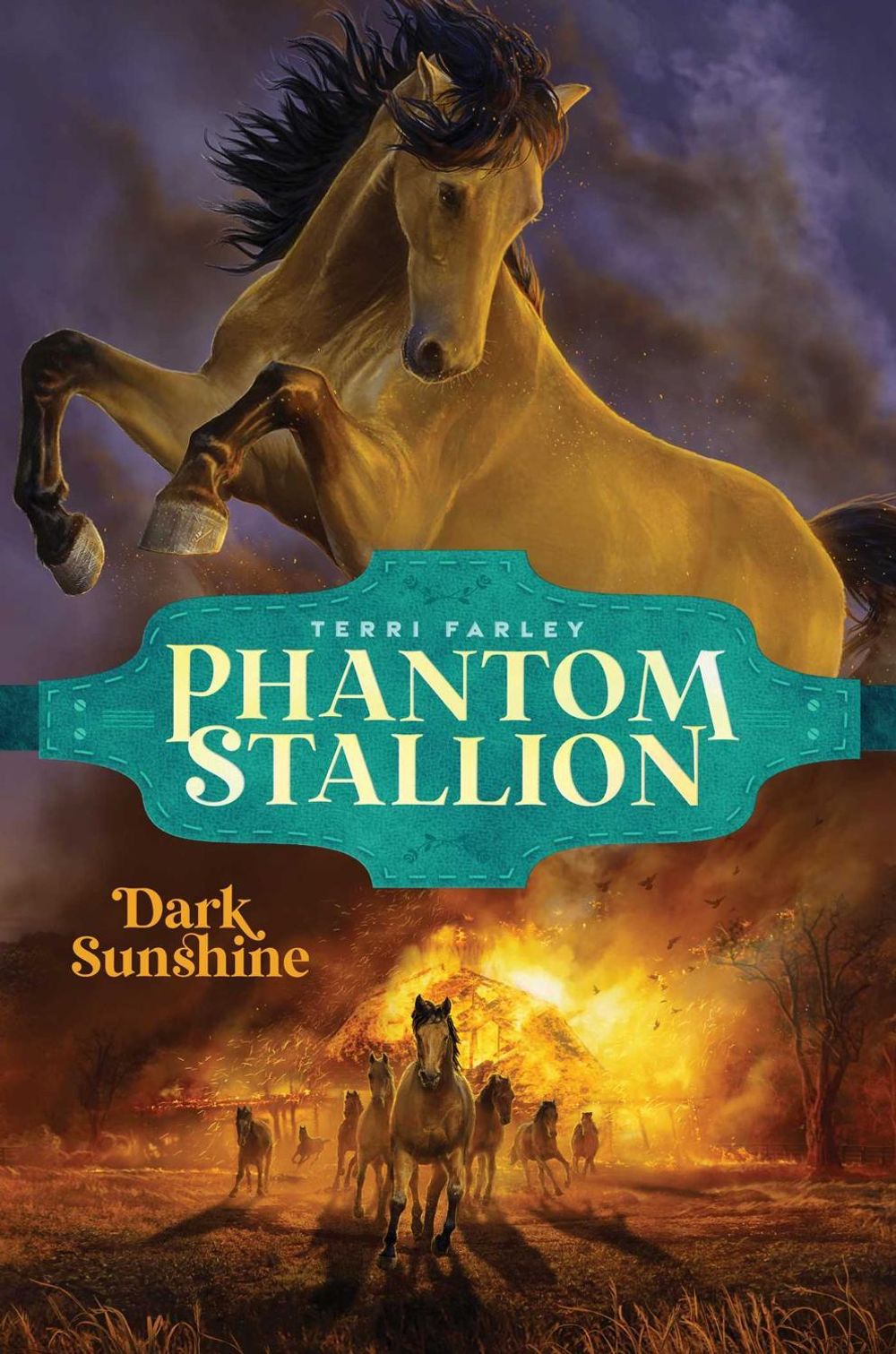 Dark Sunshine by Terri Farley - ISBN: 9781665916387