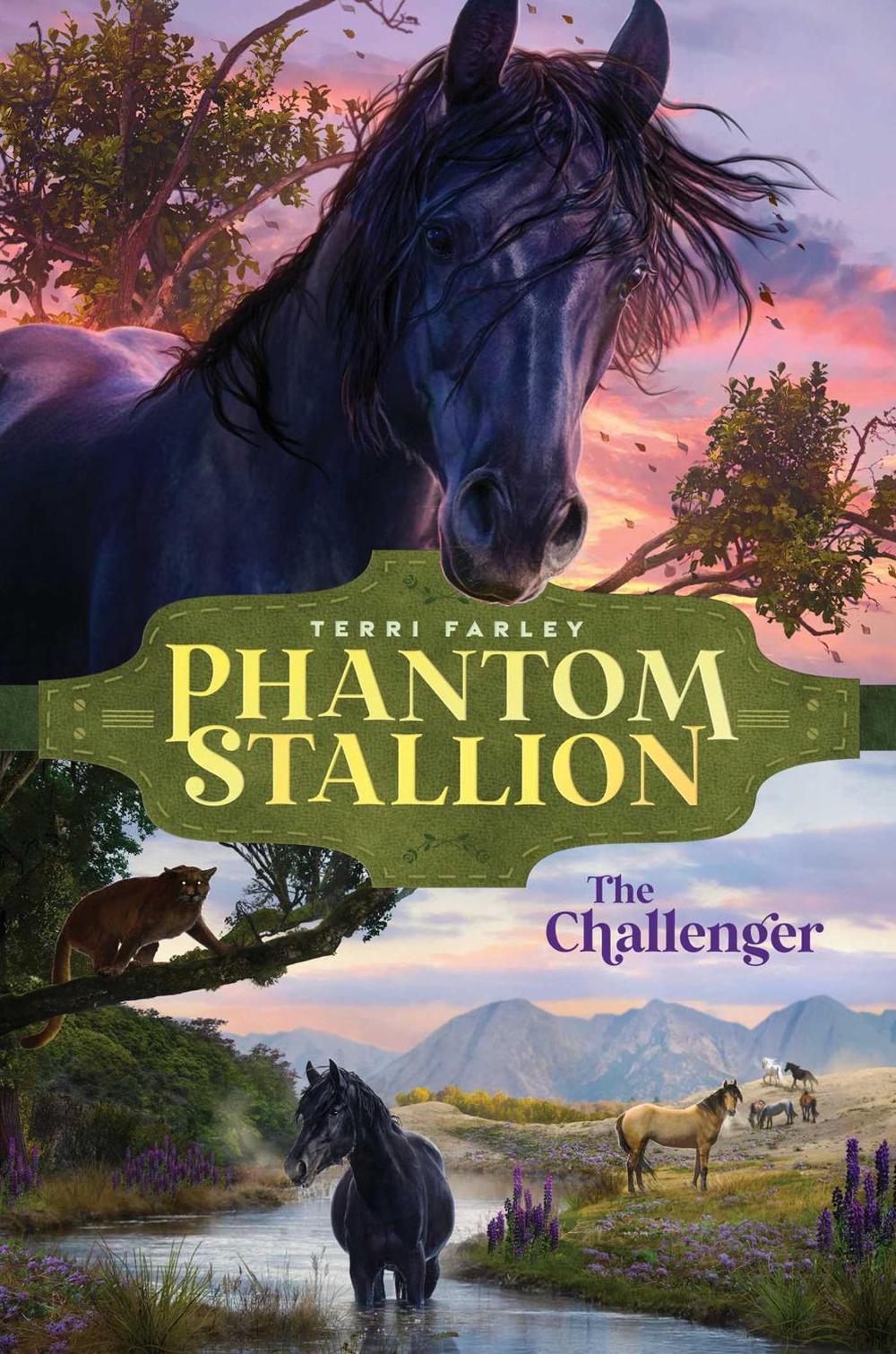 The Challenger by Terri Farley - ISBN: 9781665916479